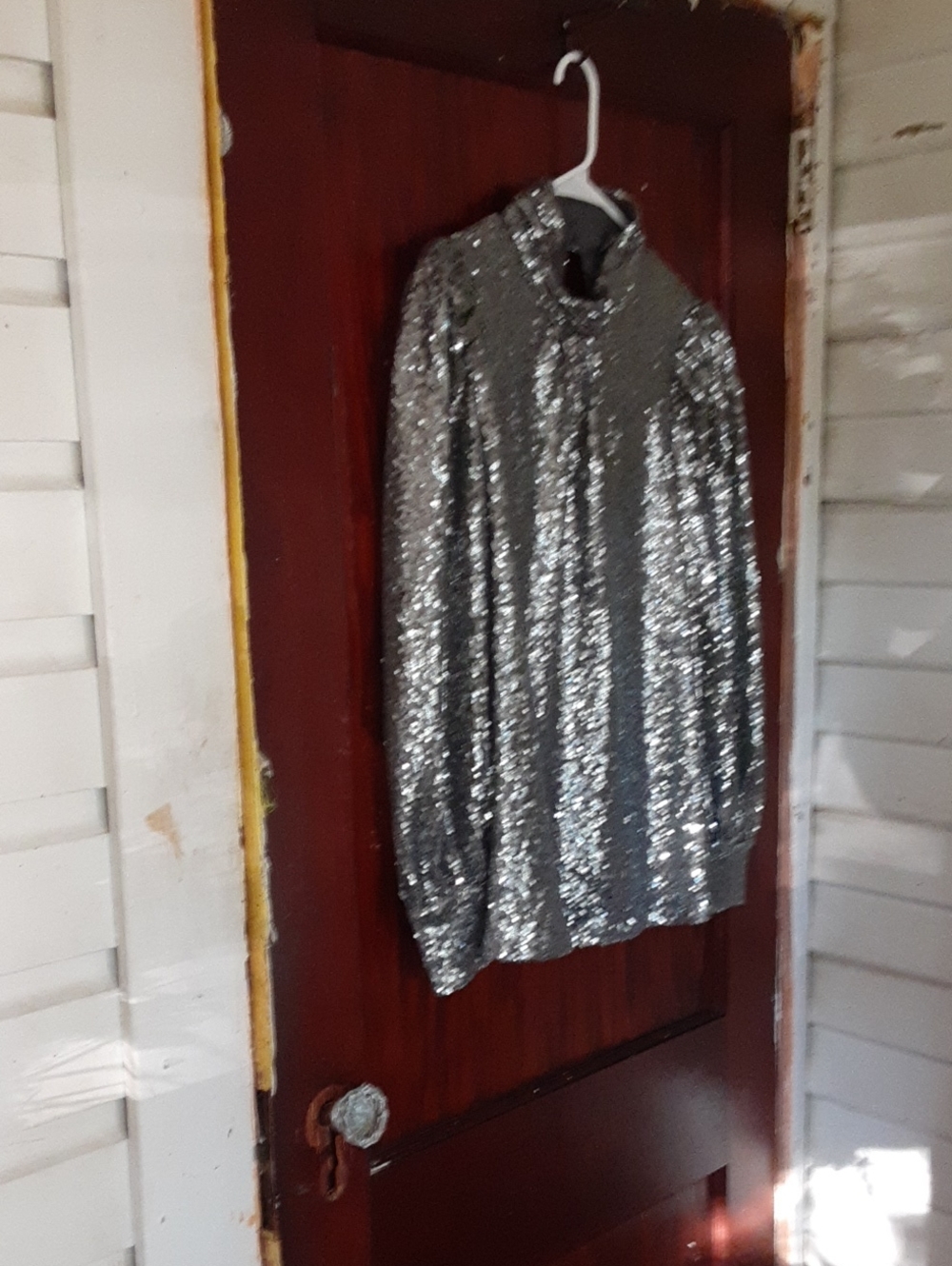 Anthropologie Sunday In Brooklyn Women's Silver Sequin Blouse